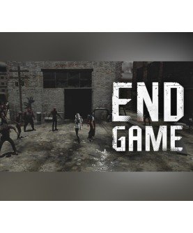 Endgame Steam Key GLOBAL